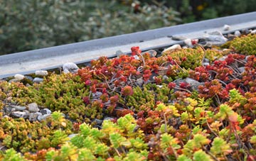the cost of Moorhayne green roof installation