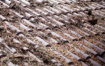 Moorhayne roof cleaning companies