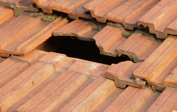roof repair Moorhayne, Devon